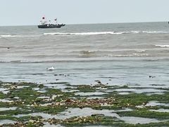 -兴城海滨风景区