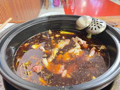 -金海椒罐罐鲢鱼(东方桂苑店)