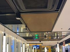 -江边城外烤全鱼(世茂广场店)