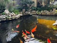 -鲤院·新中式美学·庭院餐厅(夫子庙店)