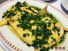-凤城礼记鱼翅海鲜酒家(新马路总店)