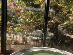 -春晖园度假酒店温泉