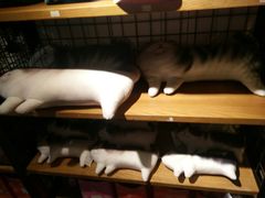 -猫咪博物馆(顶澳仔猫街店)