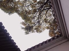 -绮园景区