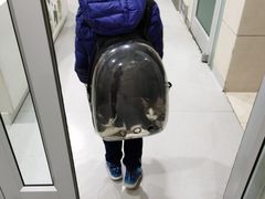 -谐和益家动物医院·免疫绝育·血液透析·宠保定点医院(高新伊藤分院)