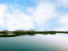 -泗洪洪泽湖湿地景区