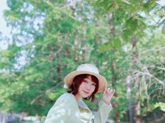 -白水寺森林公园