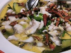 -周正水煮活鱼·吊水鱼(万科店)