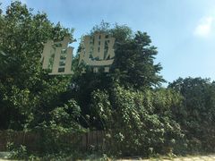 -北马山庄植趣咖啡