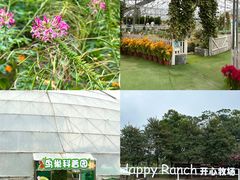 -盈香心动乐园