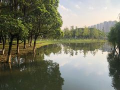 -院士公园