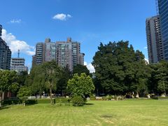 -荔湾湖公园