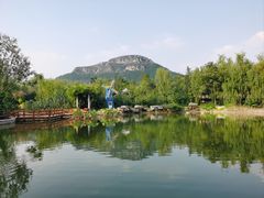 -白佛山景区