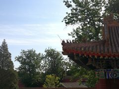 -北京市劳动人民文化宫(太庙)