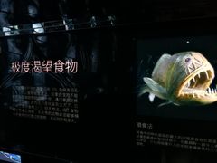 -同济大学四平路校区深海探索馆