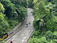 -圣淘沙天际线斜坡滑车