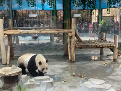 -栾川竹海野生动物园