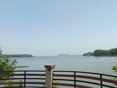 -放鹰台遗址