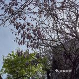 南京发现官 0元玩转这座城 街头巷尾的美食现场