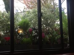 -花神咖啡馆