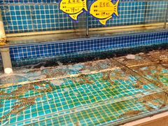 -韩记海鲜饺子旗舰店(红海新区店)