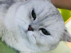 -猫和宫(六道口店)