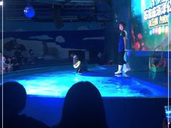 -石家庄海洋公园