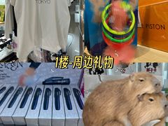 -秋叶原电器街