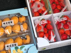 -沈阳市八家子水果批发市场