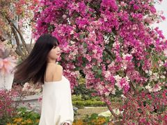 -东莞植物园
