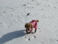 -沐沐家宠物(成寿寺店)