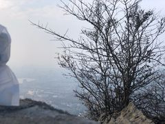 -紫金山山顶公园