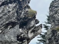 -神农架景区