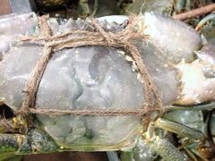 -無招牌海鮮(芽笼店)