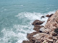 -广东惠东海龟国家级自然保护区