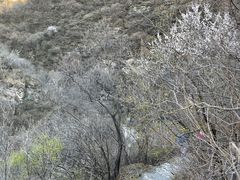 -双龙峡