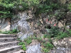 -圣莲山风景区