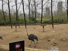 -杭州野生动物世界