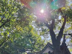 -绮园景区