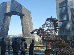 -羲和雅苑•北京烤鸭(国贸商城店)