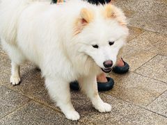 -安吉龙王山峡谷漂流