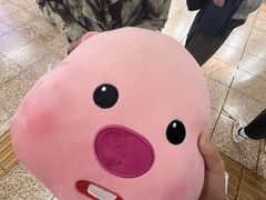 -KAKAO FRIENDS(弘大店)