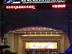 -碧桂园凤凰城酒店(南京店)