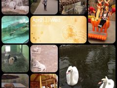 iphone_upload_pic-辛玛王国游乐园