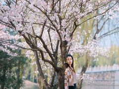 -江南大学(蠡湖校区)