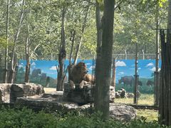 -秦皇岛野生动物园