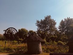 -溱湖国家湿地公园