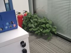 -新航道雅思托福·留学·考研培训(人民广场校区)