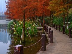 -重庆彩云湖湿地公园