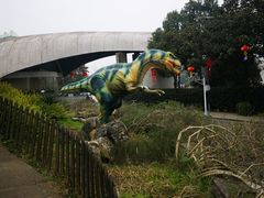 -自贡恐龙博物馆